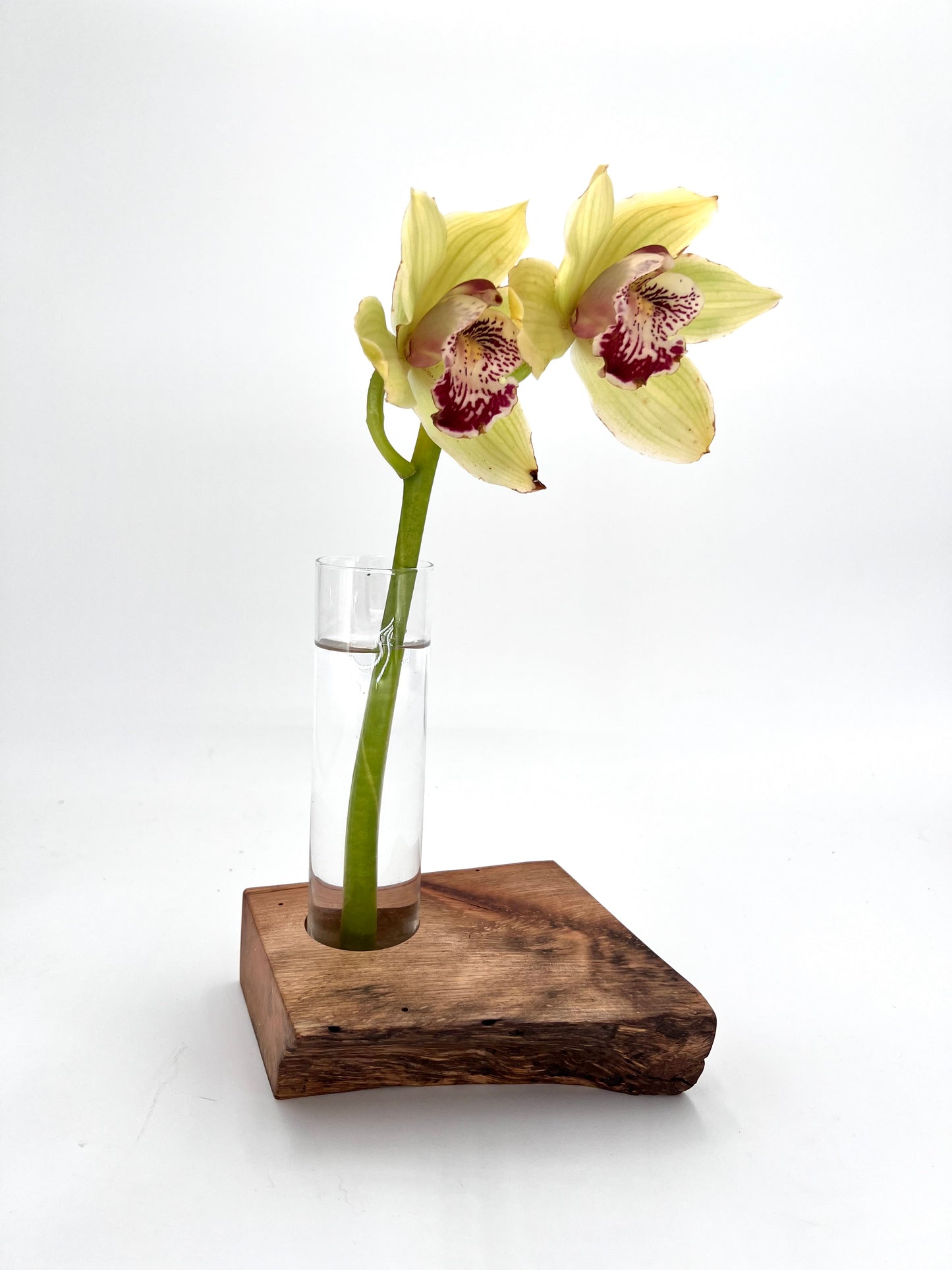 Modern Wood and Glass Vase