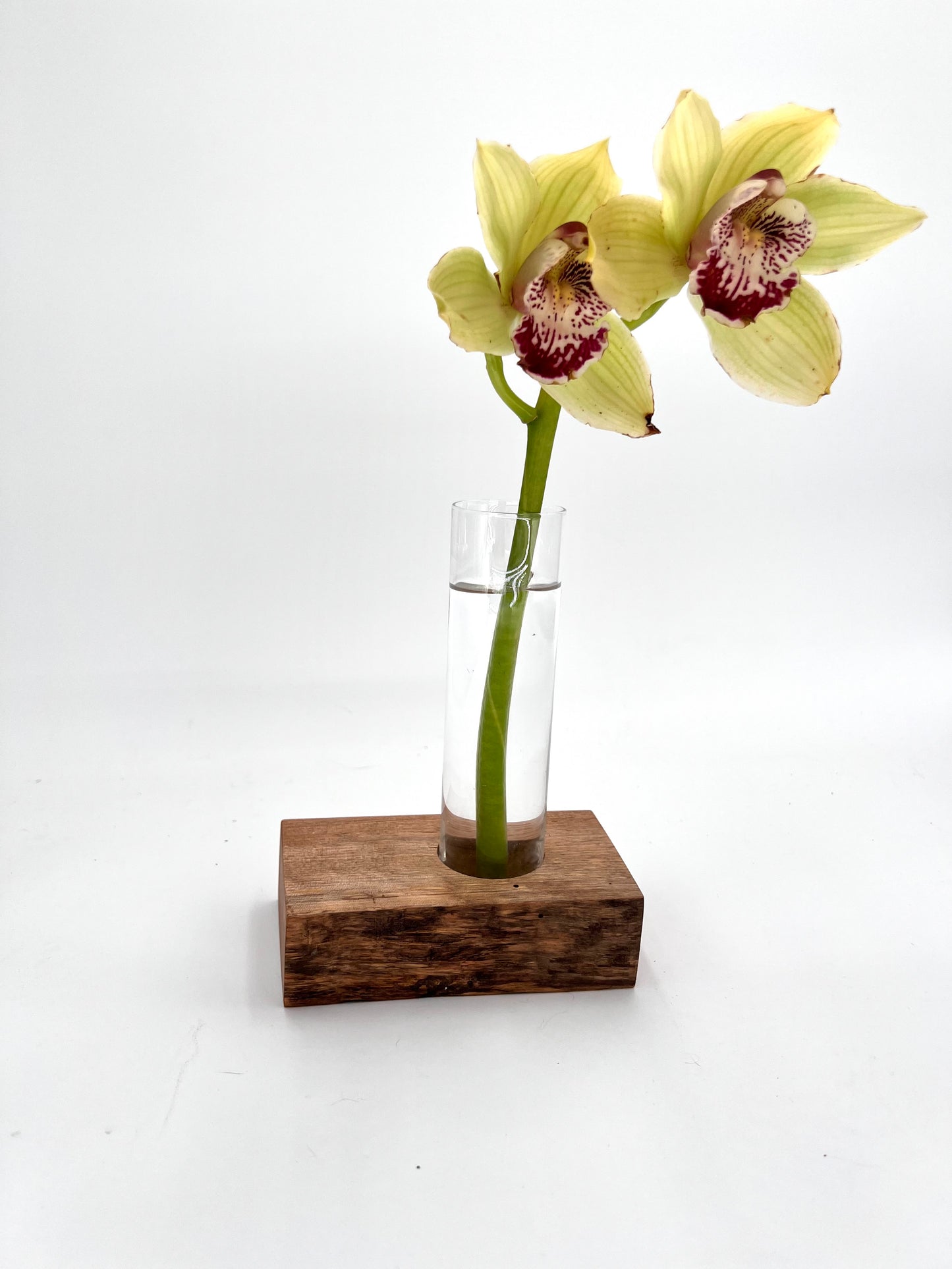 Modern Wood and Glass Vase