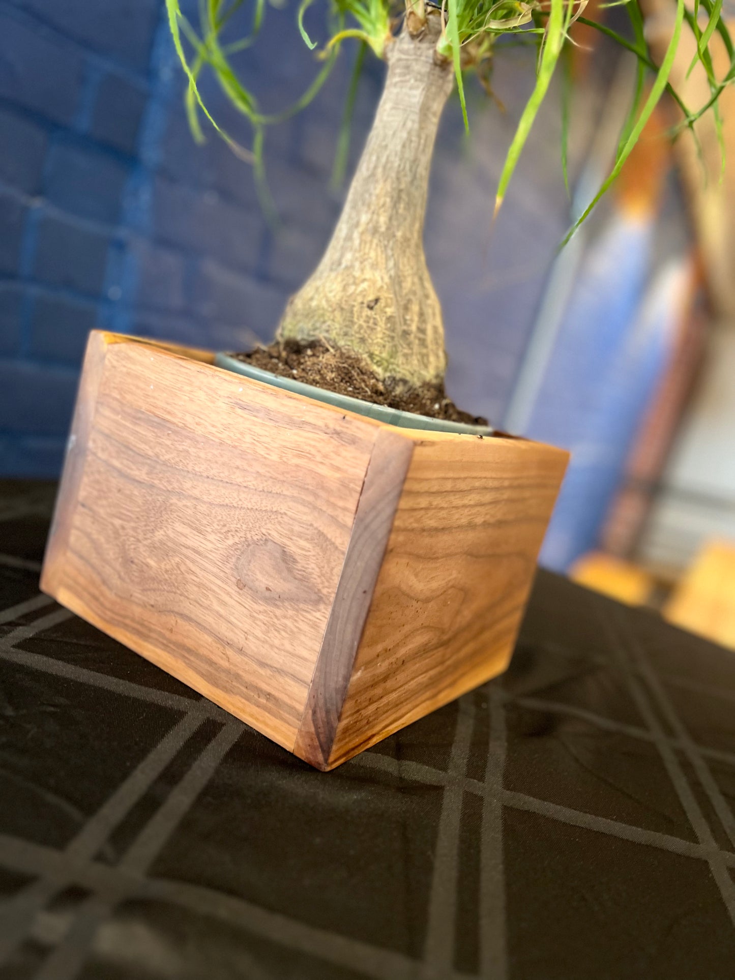 Modern Black Walnut Cube Planter