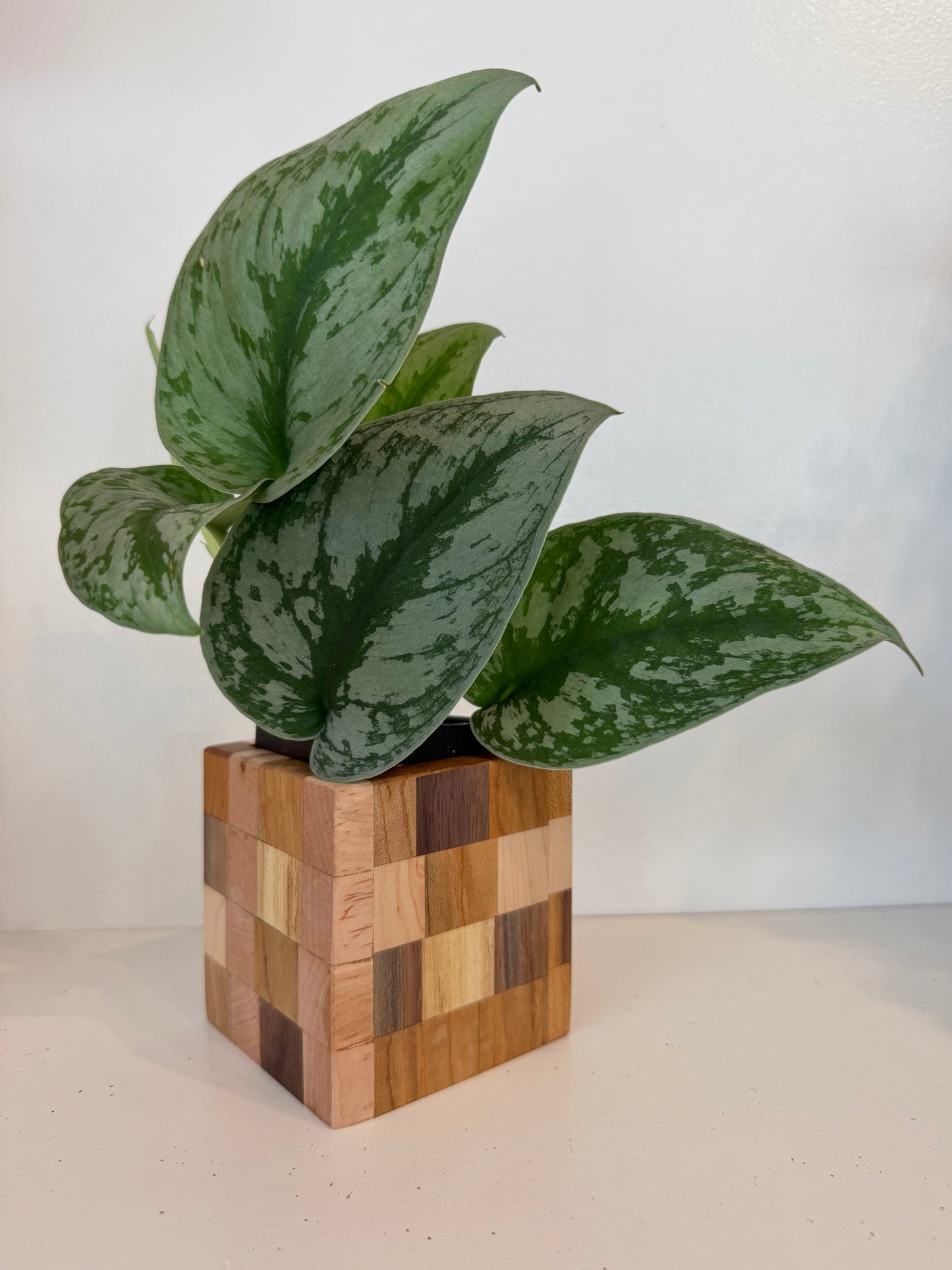 BLOX Planter Cube
