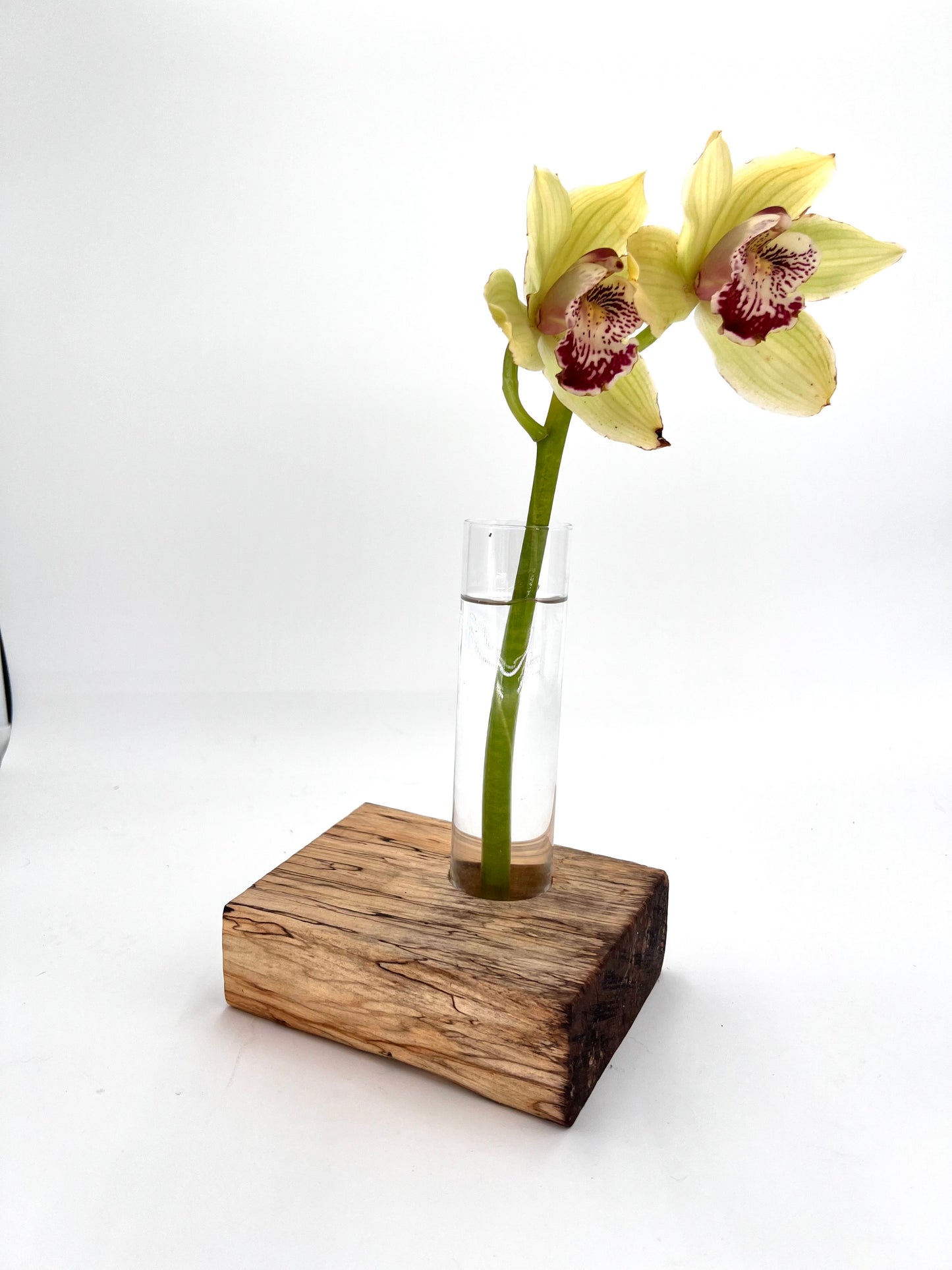 Modern Wood and Glass Vase