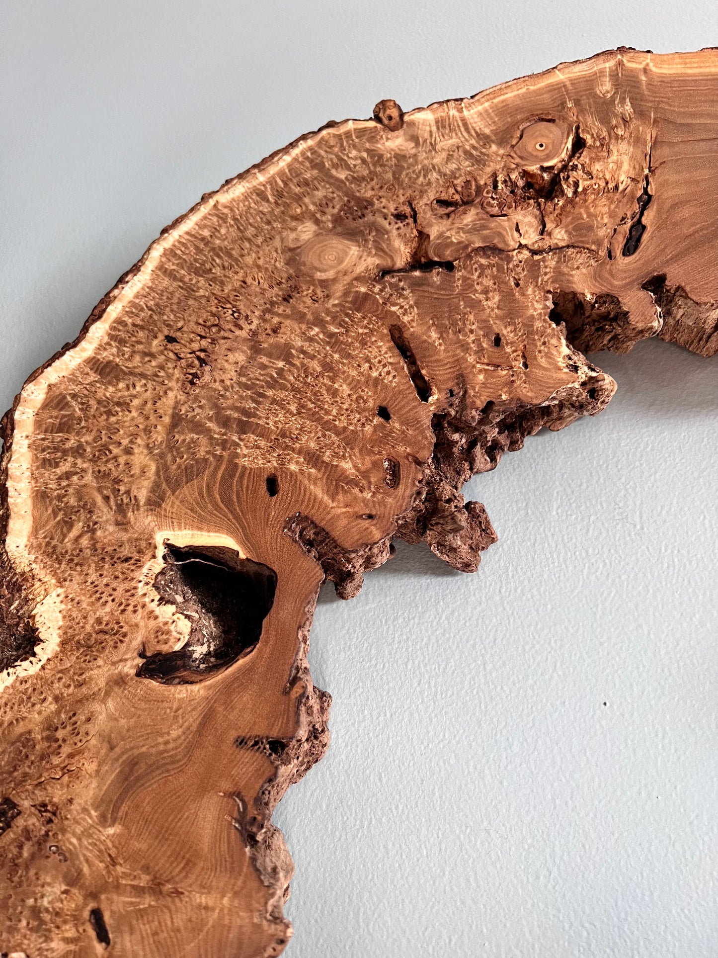 “The Serpent” Natural Wood Wall Art