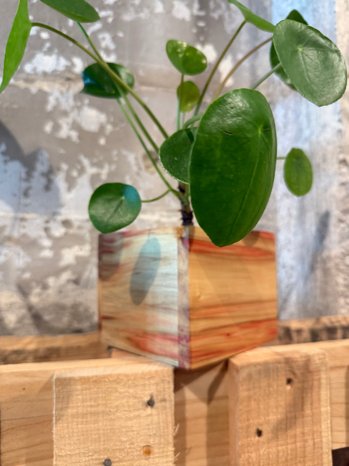 Box Elder Planter Box
