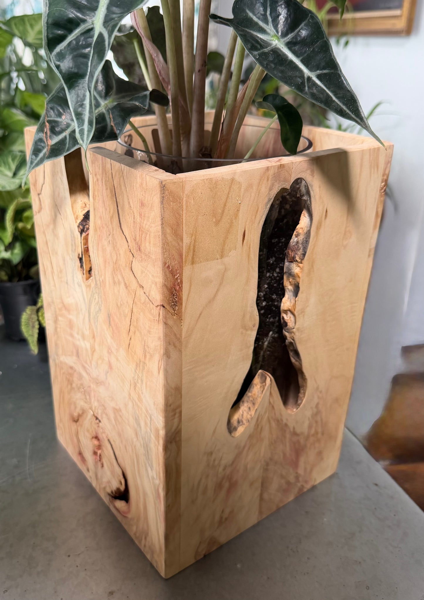 Irregularities Box Vase