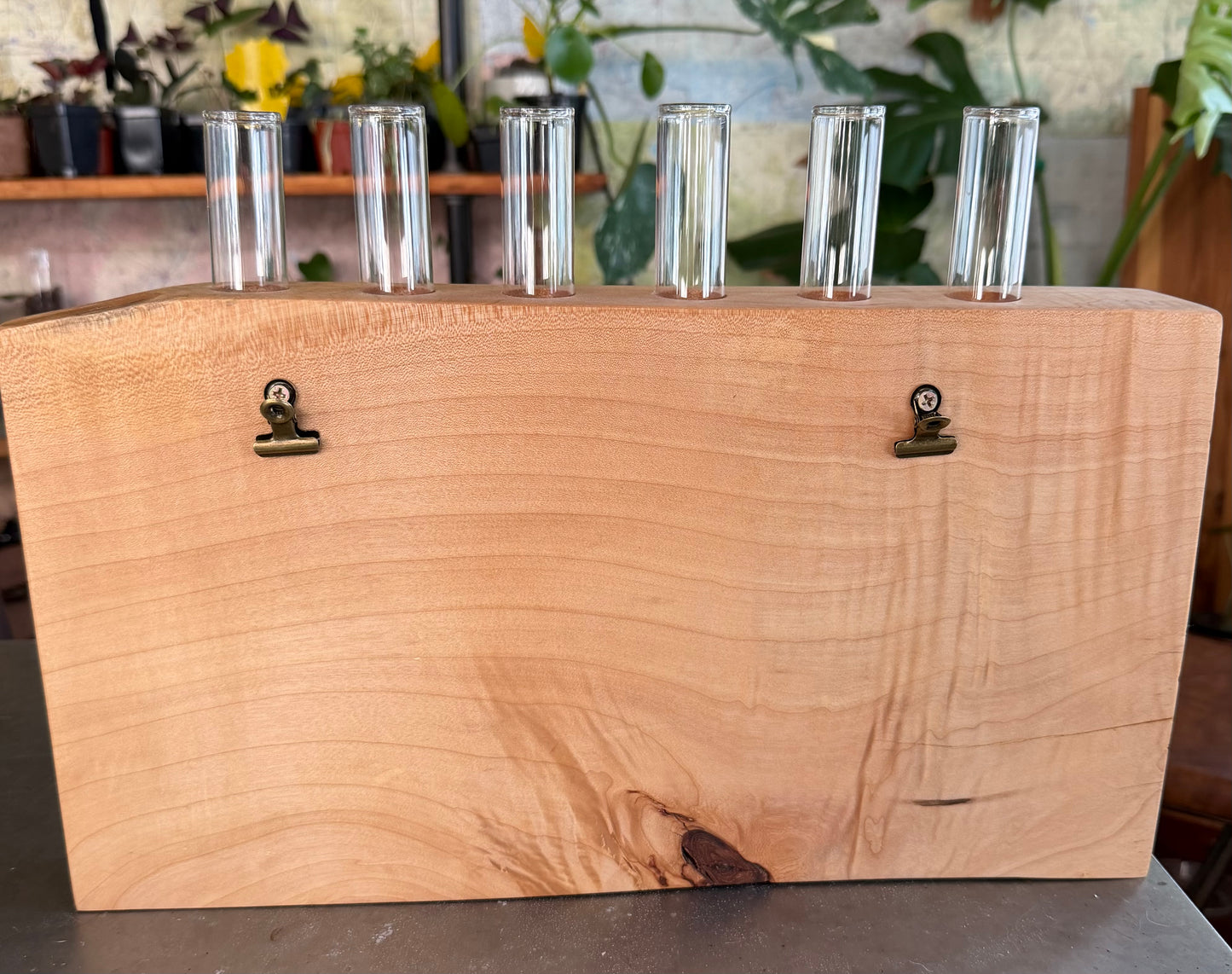 Maple Propagation Work Station