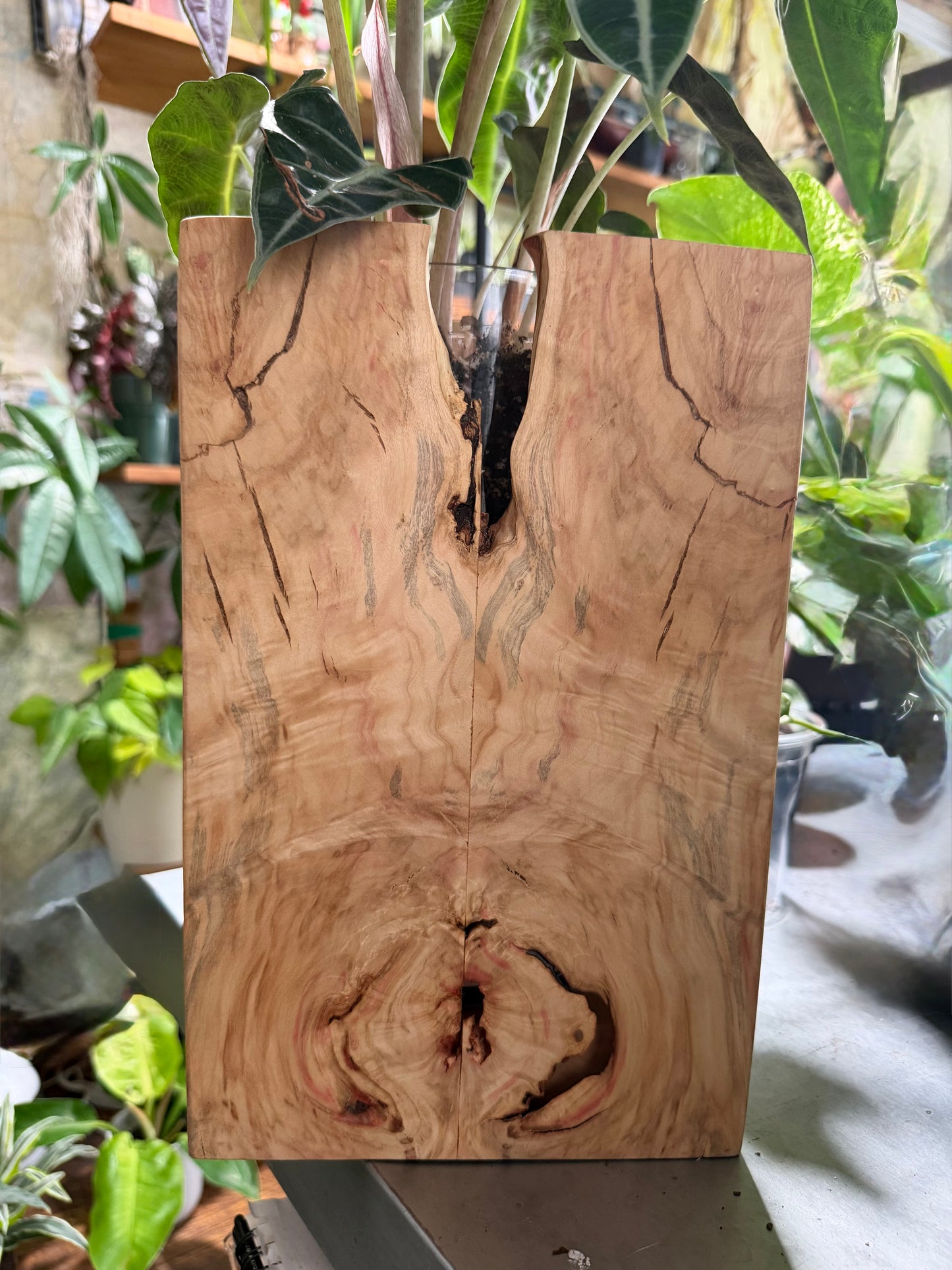 Irregularities Box Vase