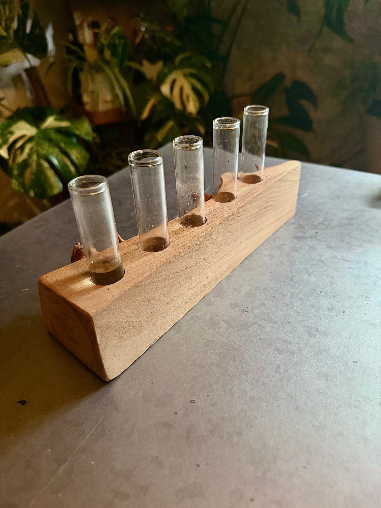 Propagation Station