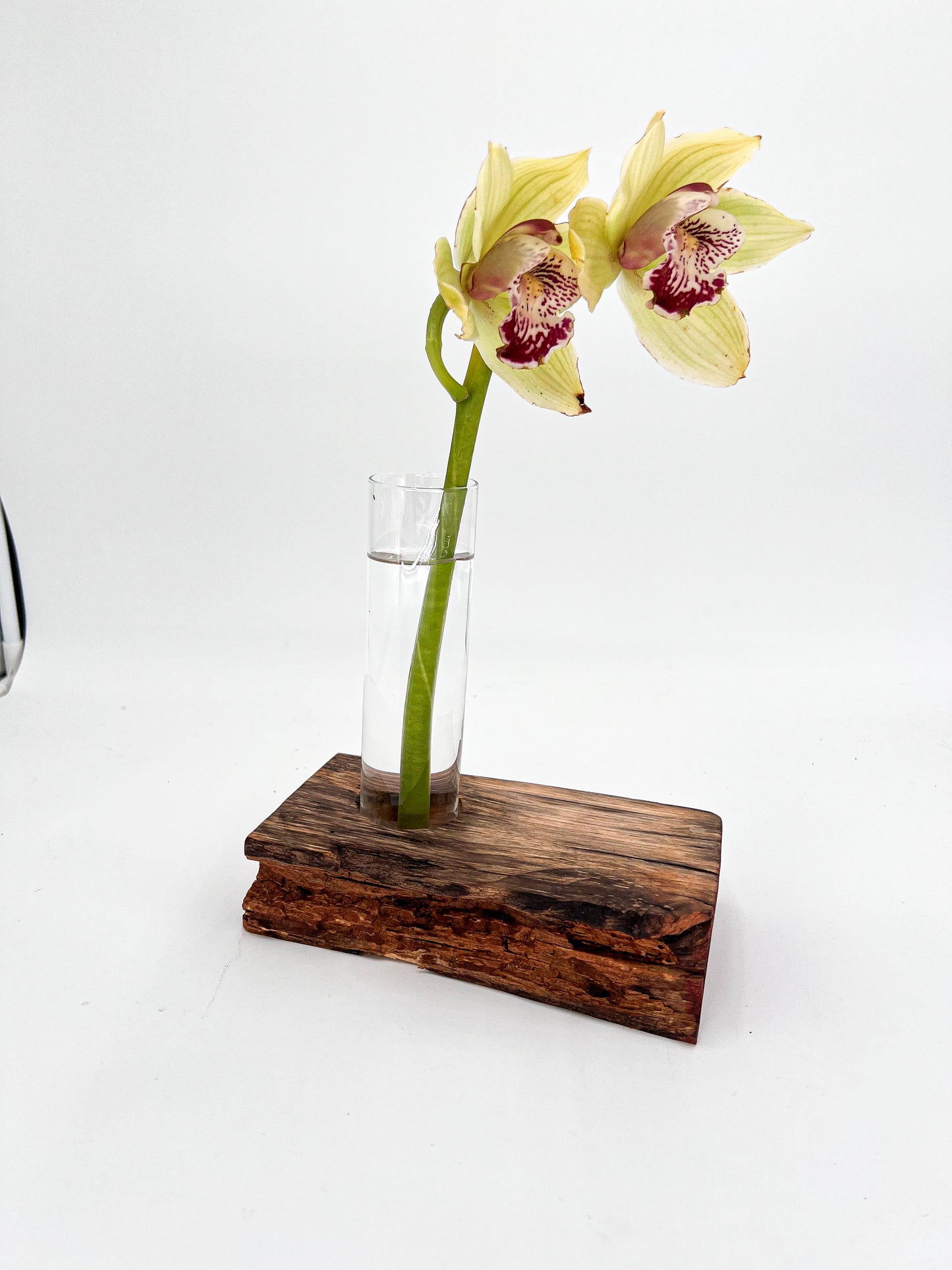 Modern Live Edge Wood and Glass Vase