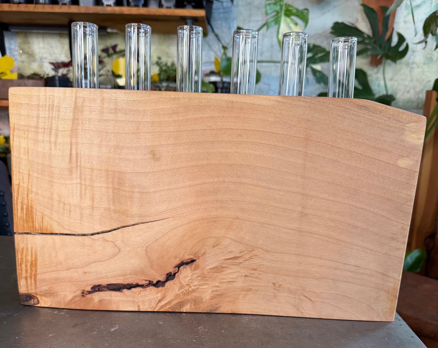 Maple Propagation Work Station