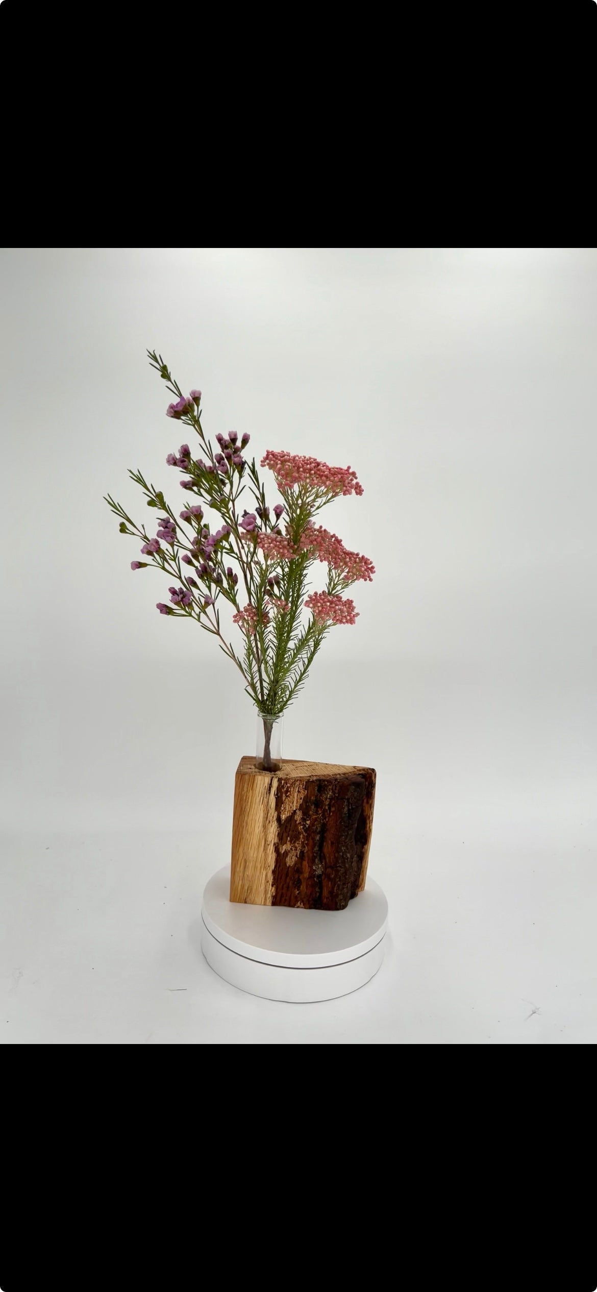 Modern Live Edge Hardwood Bud Vase