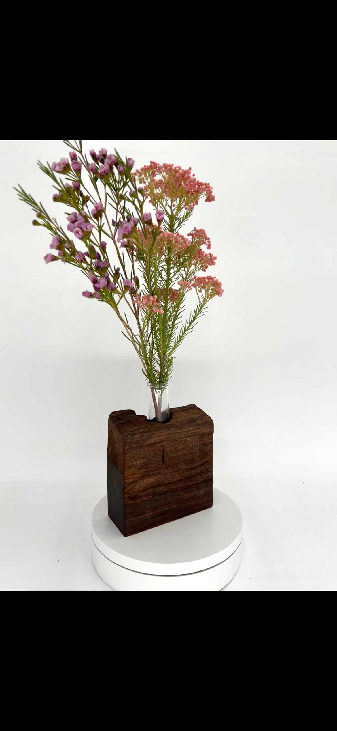 Modern Live Edge Black Walnut Bud Vase
