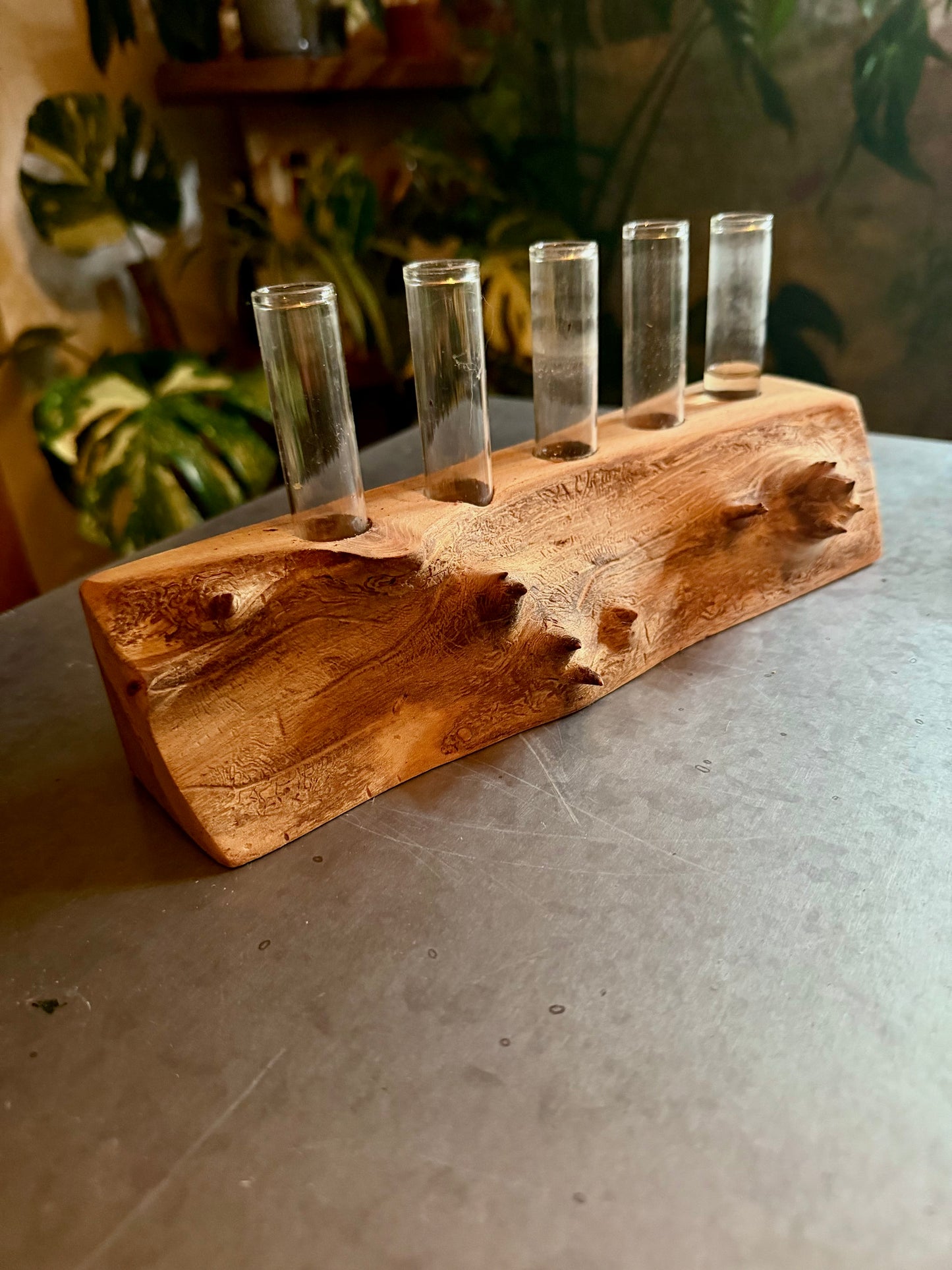 Propagation Station