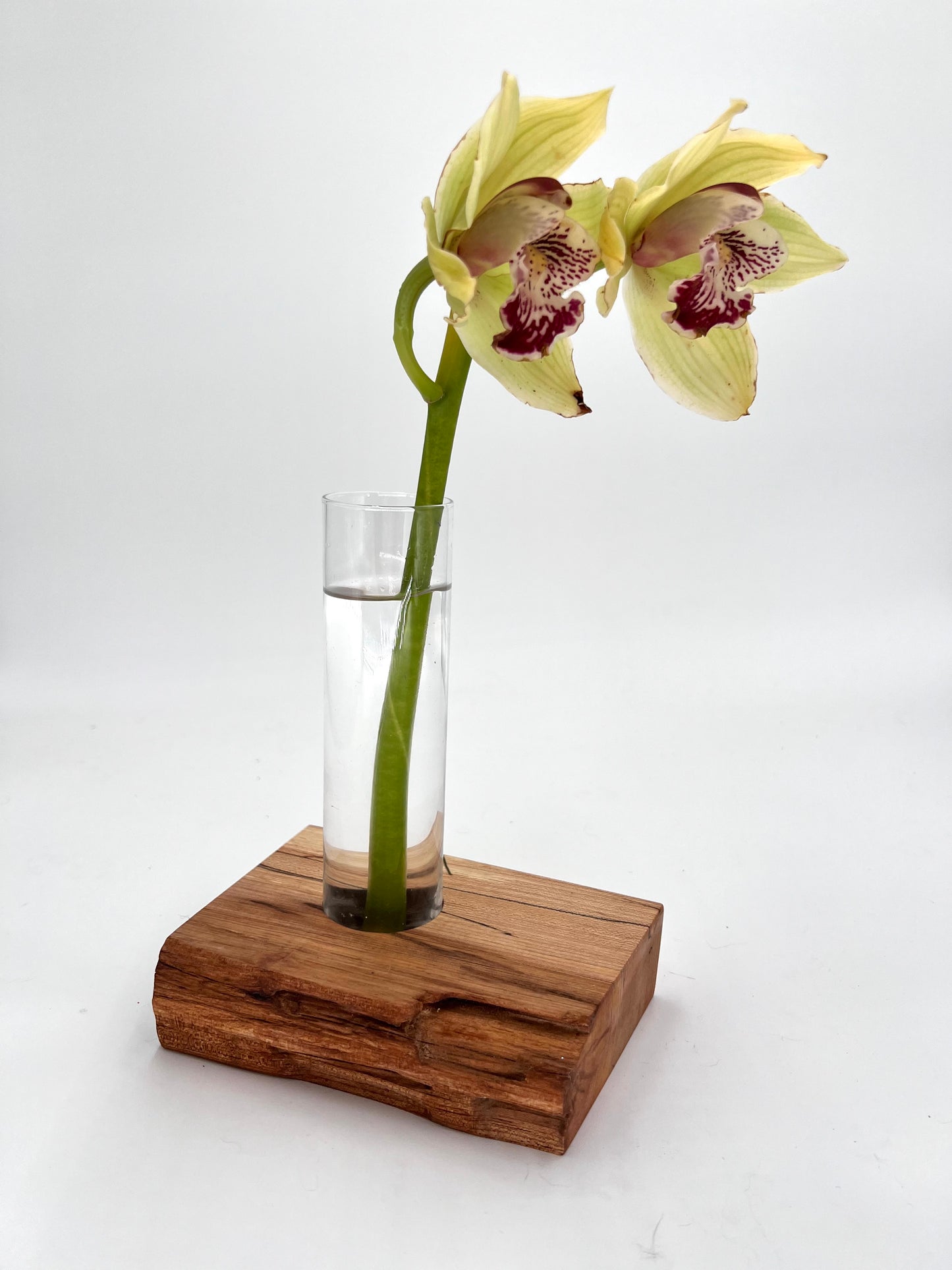 Modern Spalted Maple Wood and Glass Vase