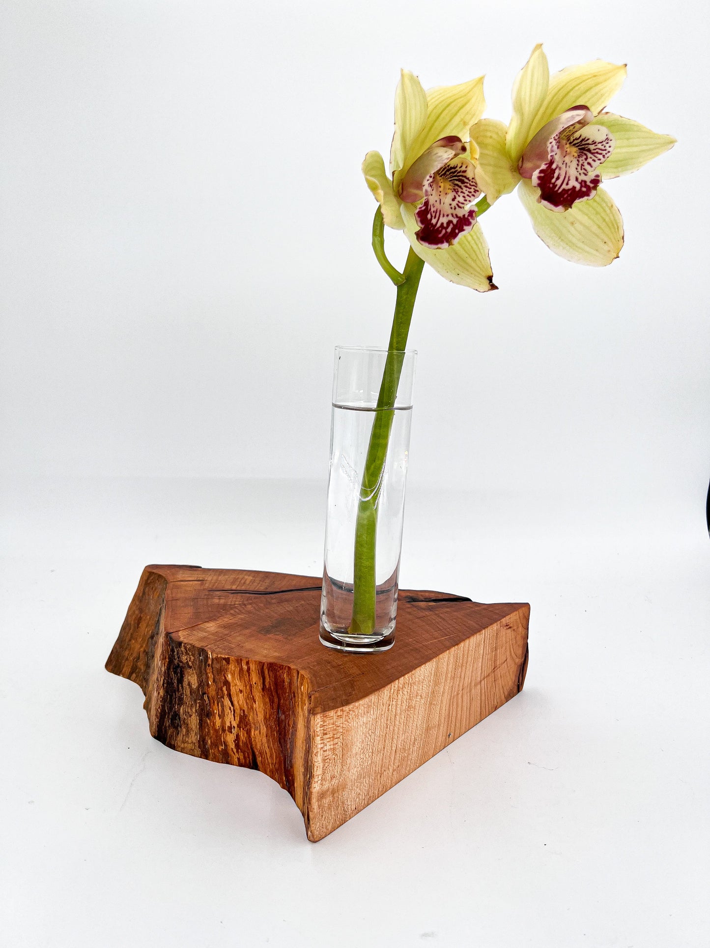 Modern Live Edge Wood Vase