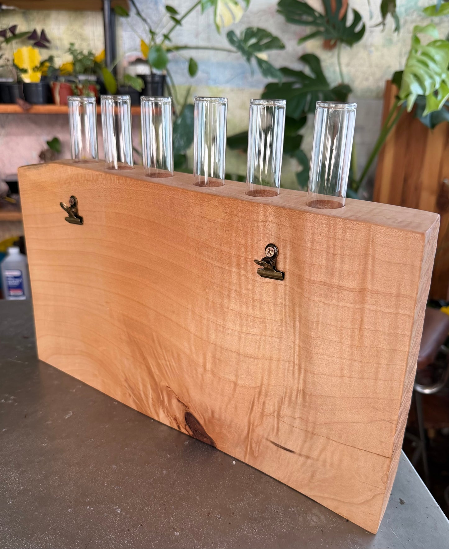 Maple Propagation Work Station