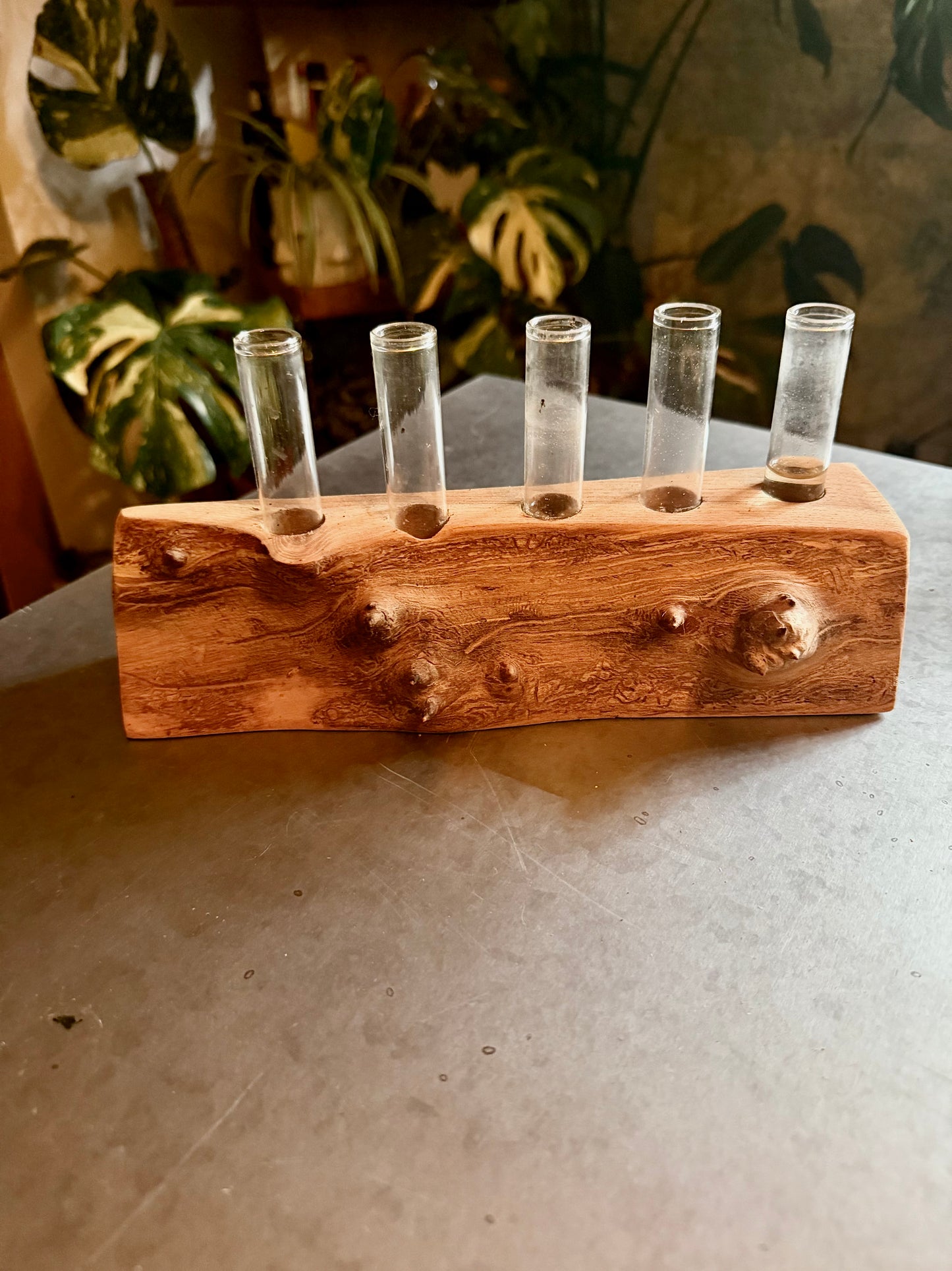Propagation Station