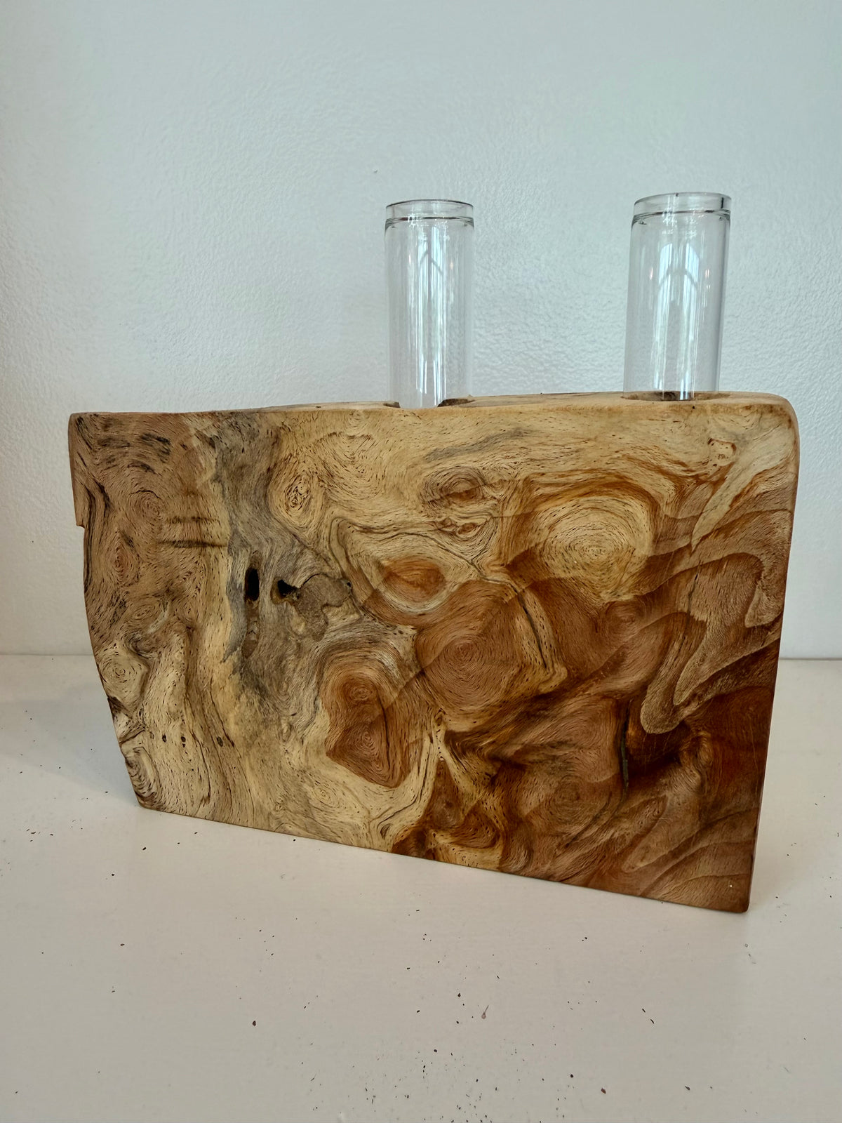 Propagation Vase