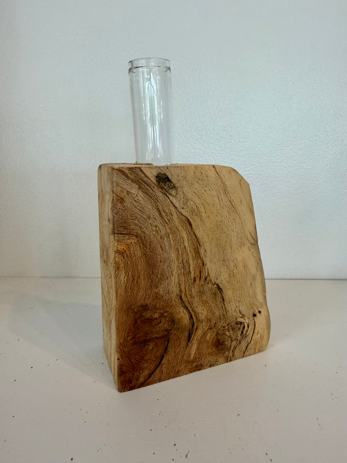 Propagation Vase