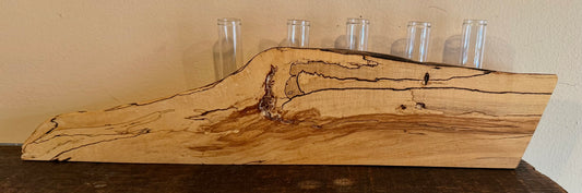 Spalted Maple Propagation Station