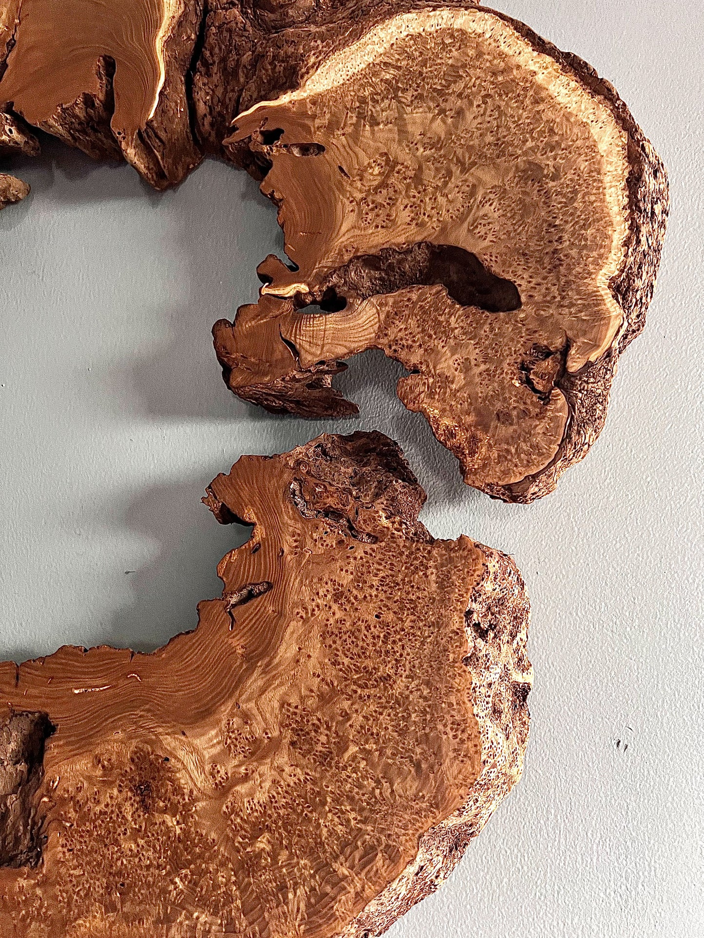 “The Serpent” Natural Wood Wall Art