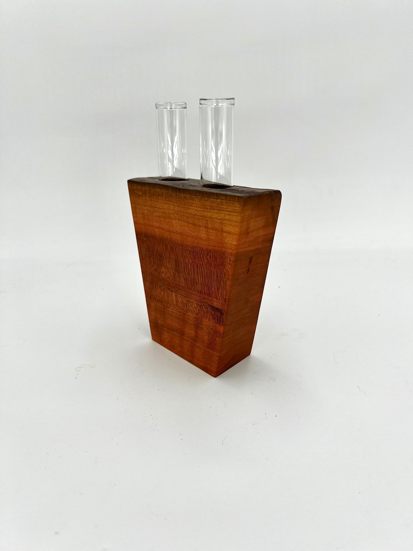 Propagation Vase