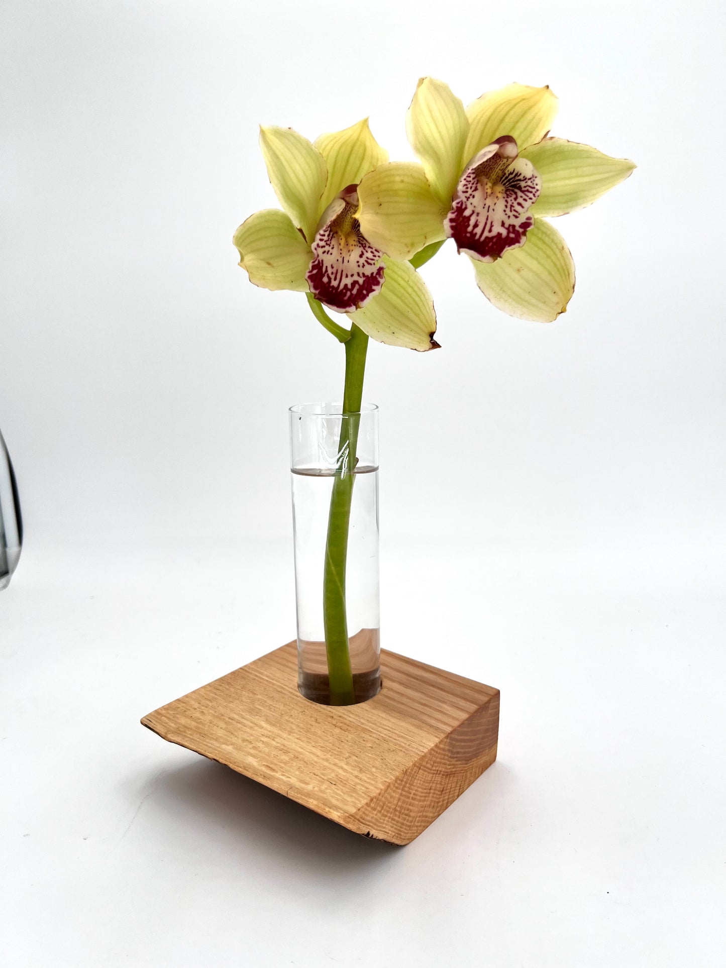 Modern Live Edge Wood Vase
