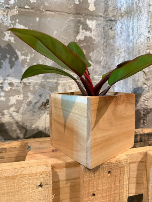 Sycamore Planter Box
