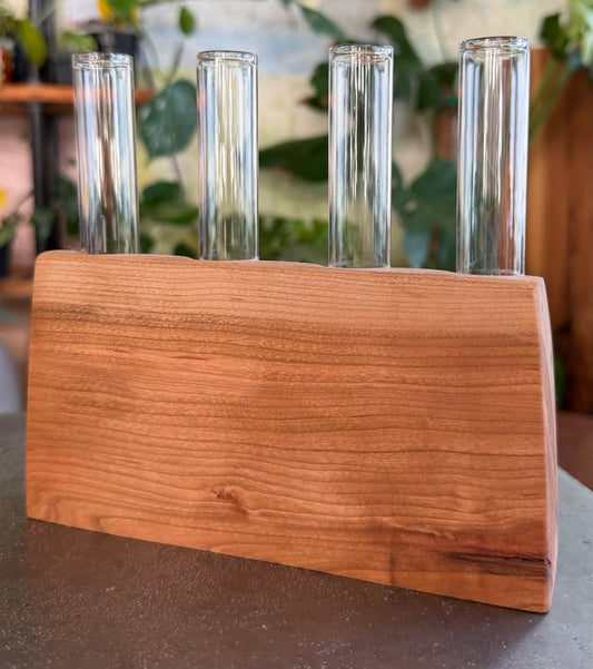 Black Cherry Propagation Station