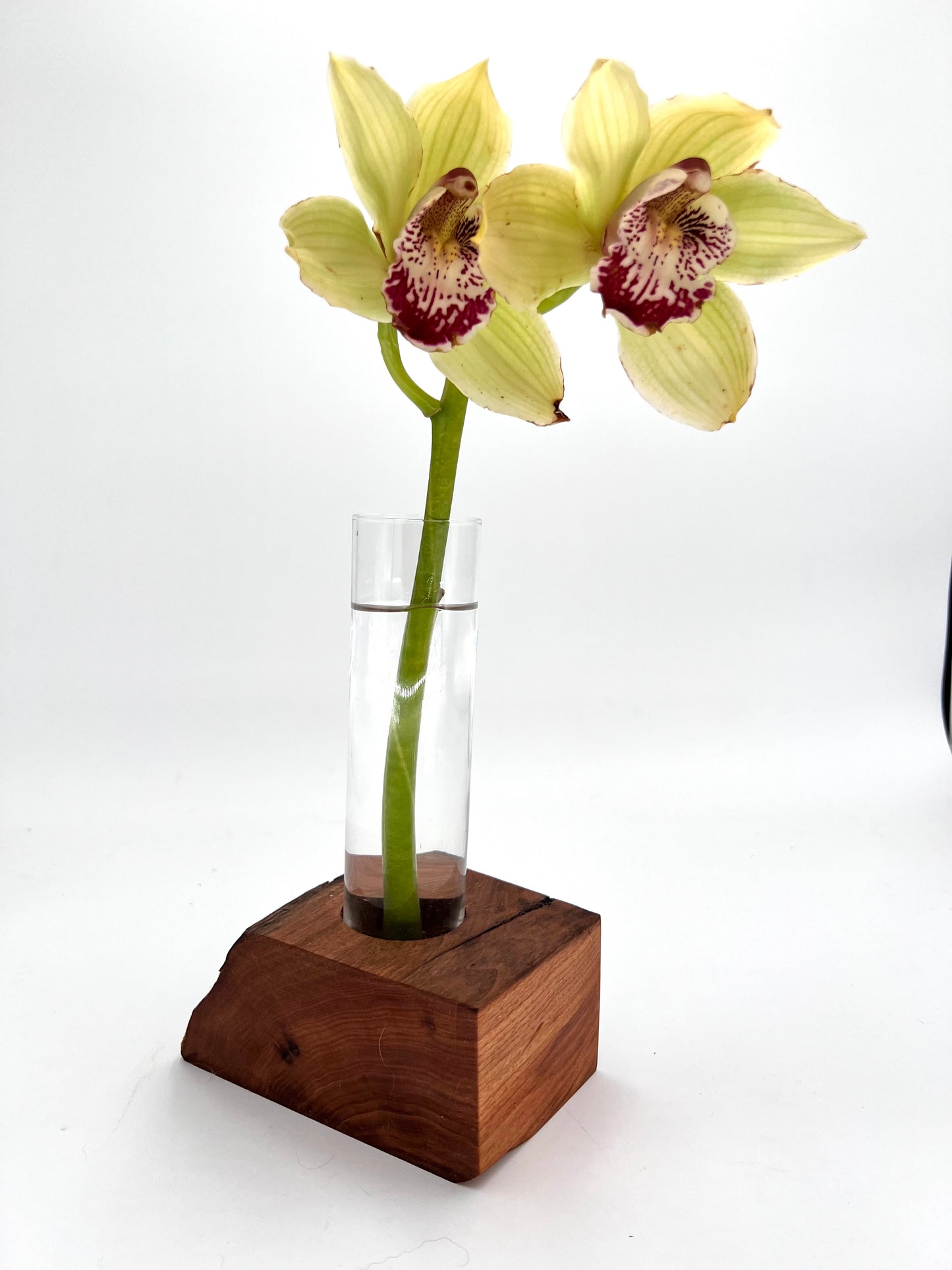 Modern Wood and Glass Vase