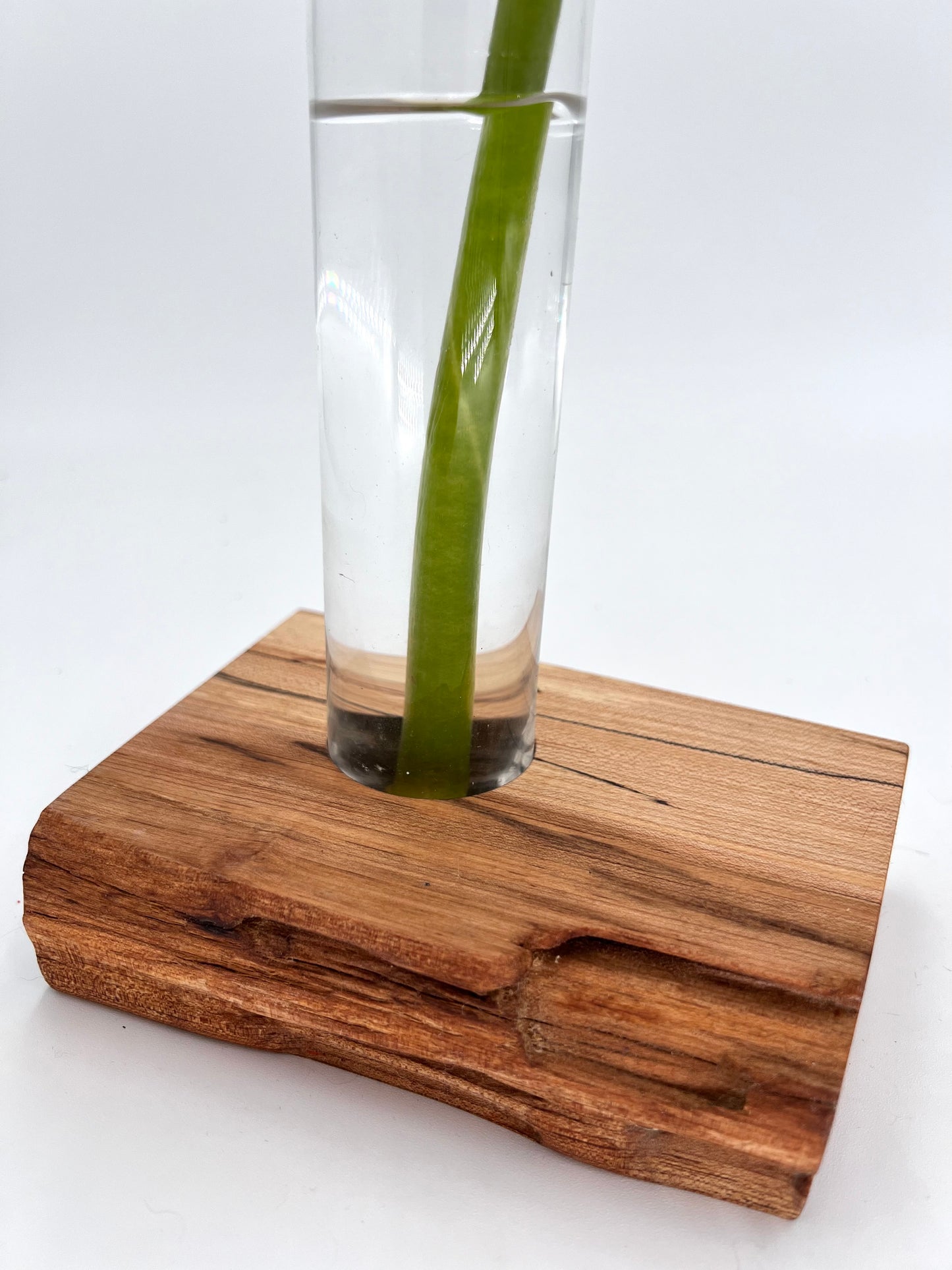 Modern Spalted Maple Wood and Glass Vase
