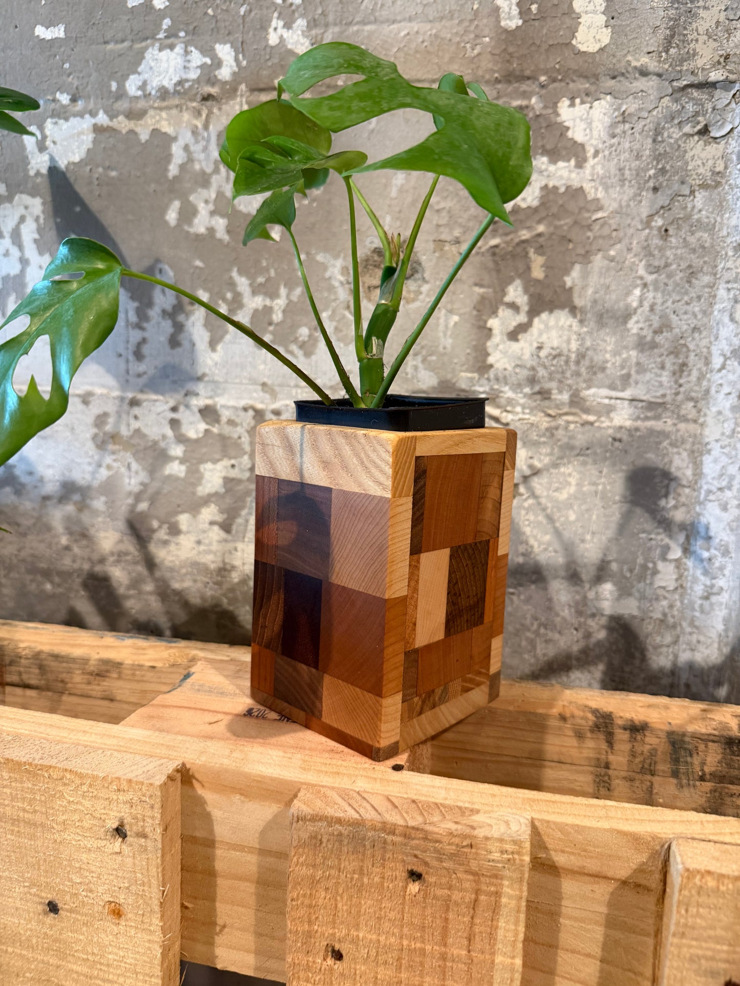 End-Grain Blox Tall Planter