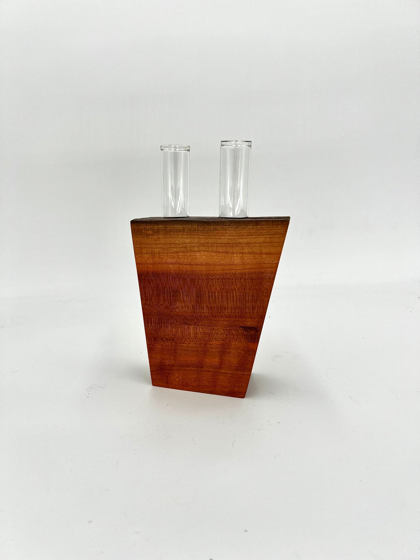 Propagation Vase