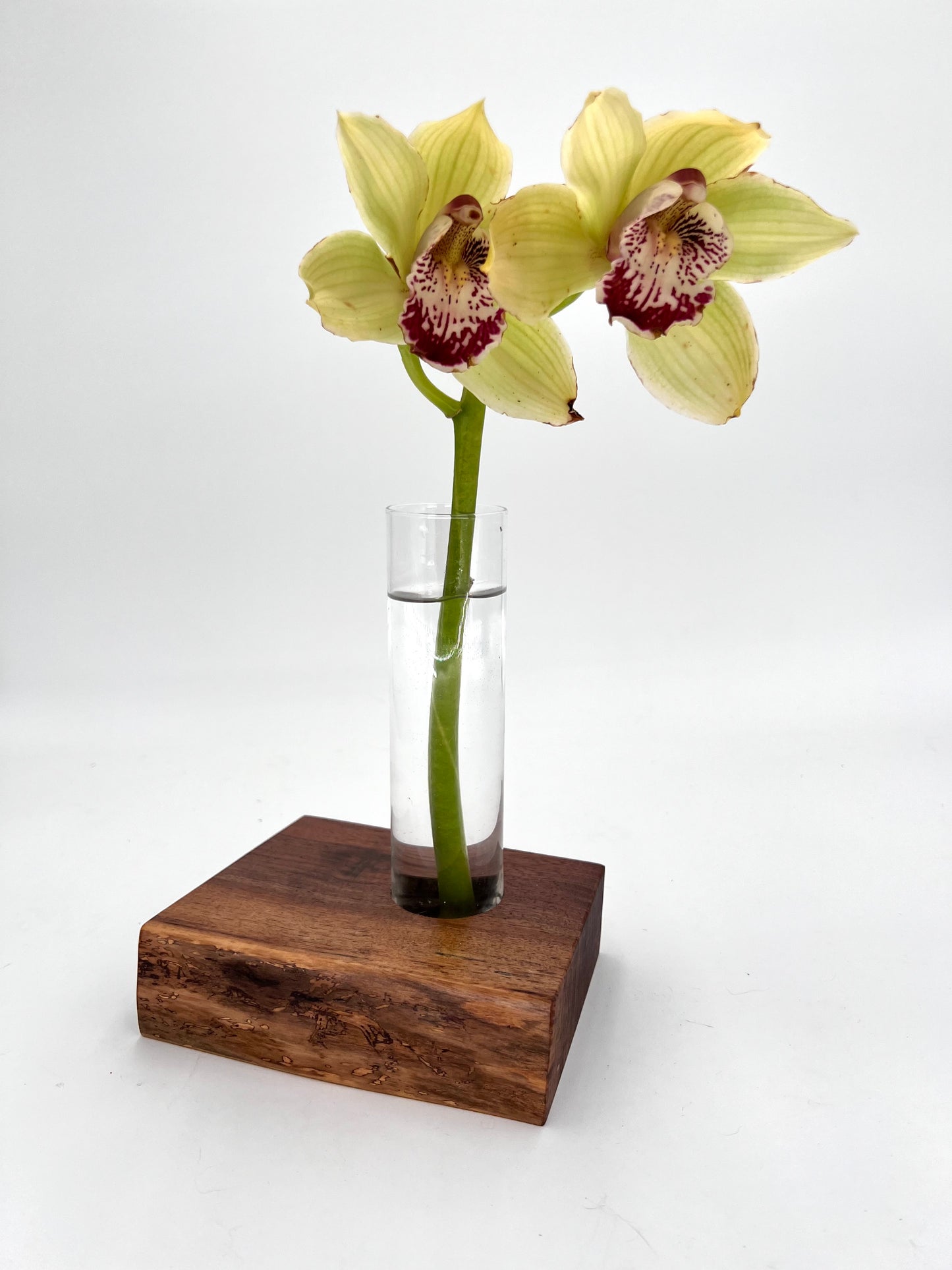 Modern Black Walnut Wood and Glass Vase