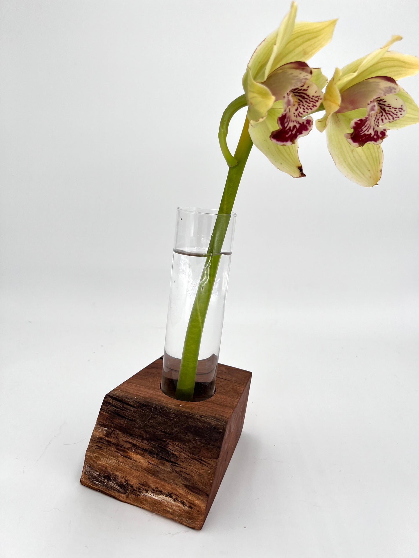 Modern Wood and Glass Vase