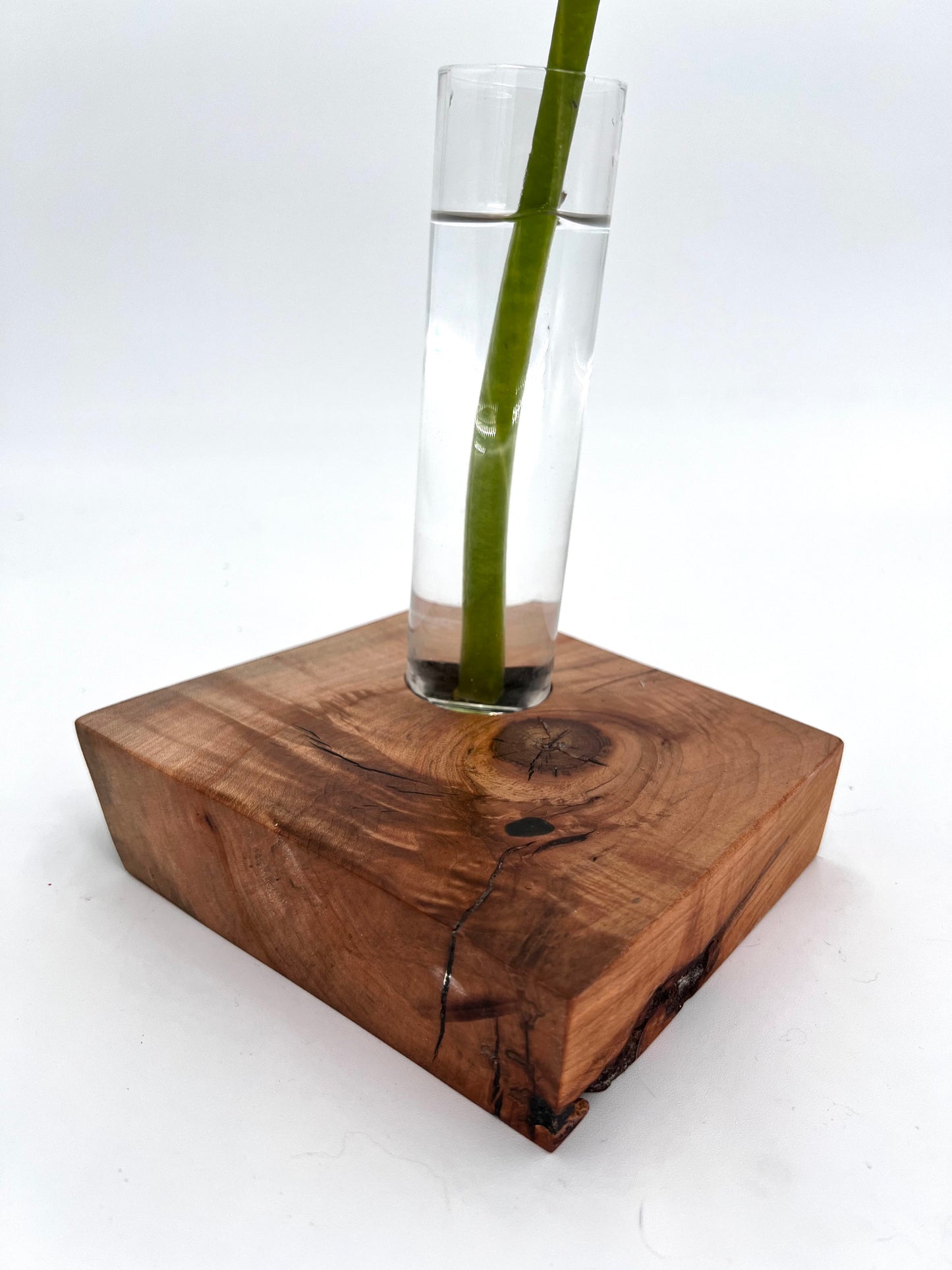 Modern Spalted Wood and Glass Vase