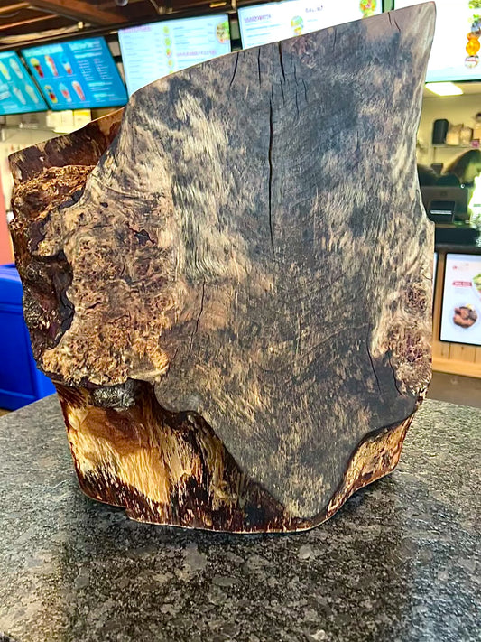"Germination" Vase